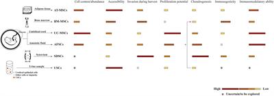 Scaffold-Based Tissue Engineering Strategies for Osteochondral Repair